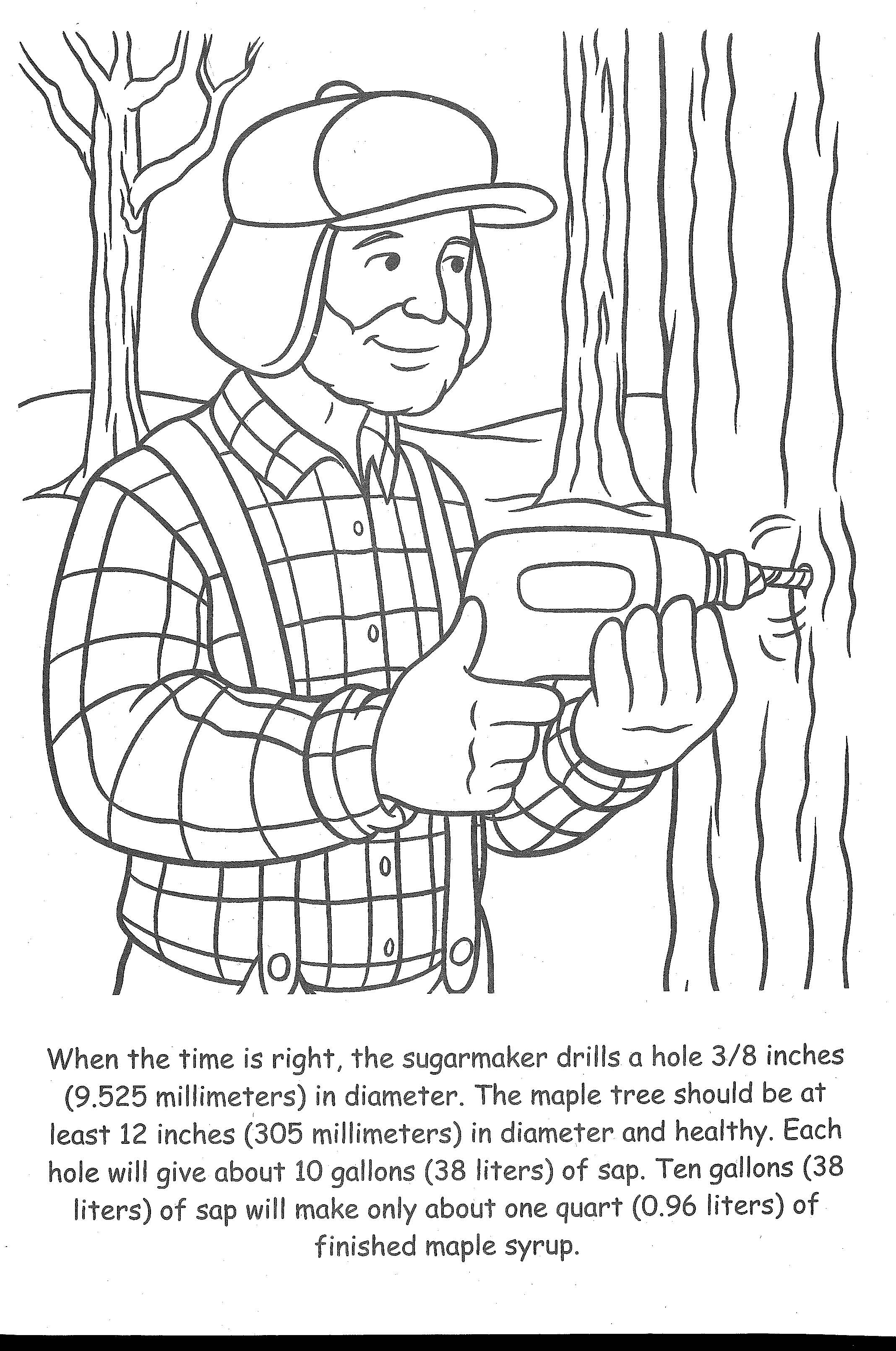 making maple syrup coloring pages - photo #2